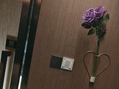 -陆琴脚艺·足浴·SPA(夫子庙店)