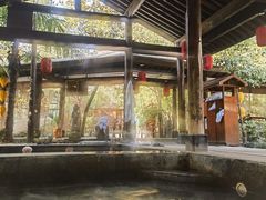 -西安国际创新人才交流中心•药浴温泉