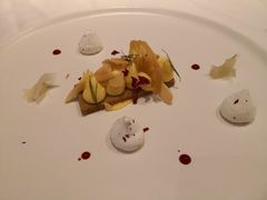 -蝶舍·MAISON PAPILLON