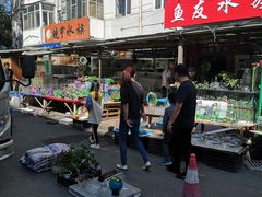 -哈尔滨道外花鸟鱼市场
