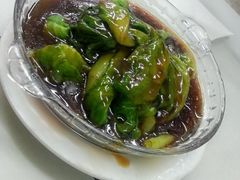 生菜-做了不起的80后