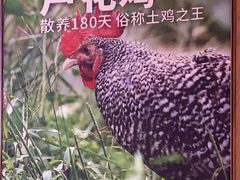 -俭寨大盘鸡·缸子肉·小公鸡·新疆菜(云通店)