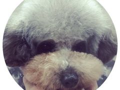 -萌萌喵宠物(百水芊城阅水坊店)