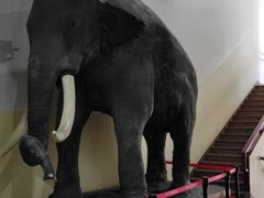 -国家自然博物馆