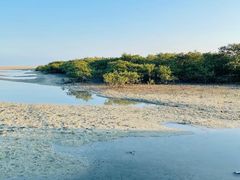 -北海金海湾红树林生态旅游区