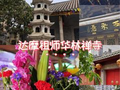 -华林禅寺
