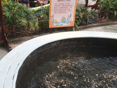 -龙达温泉生态城
