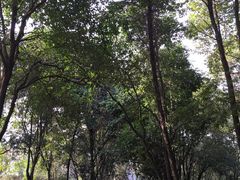 -富乐山