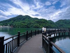 -江西阳明山国家森林公园