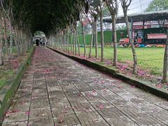 -武汉紫薇都市田园