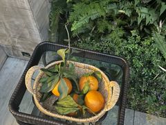 -茅庐·川粤精品私房菜(金沙遗址店)