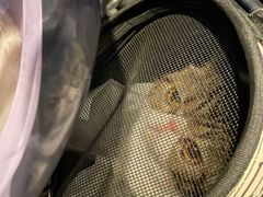 -FAELING PETS美天灵宠物(富力广场店)