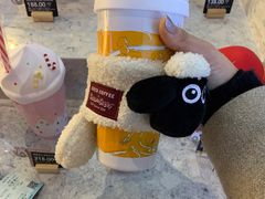 -COSTA COFFEE(上海虹桥枢纽2店)