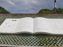 -观潮胜地公园