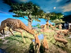 -国家自然博物馆