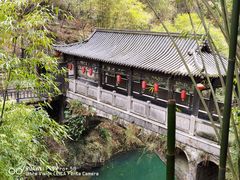 -三峡人家风景区