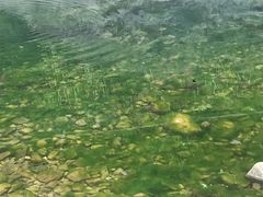 -雅鲁激流探险漂流