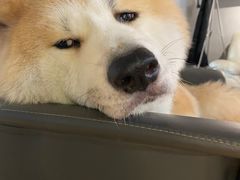 -YCHL Studios健身工作室(市二宫店)