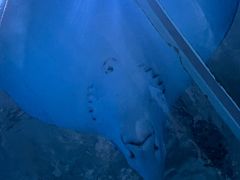 -北戴河圣蓝海洋公园