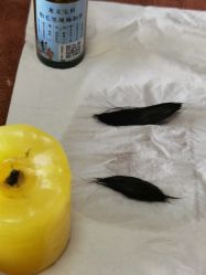 -龙文宝贝上门婴儿理发满月剃胎毛(总店)