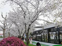 -上海南浦大桥长途旅游客运站