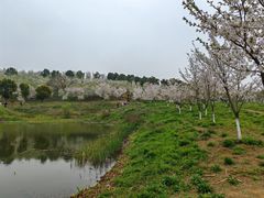 -宜兴龙背山森林公园