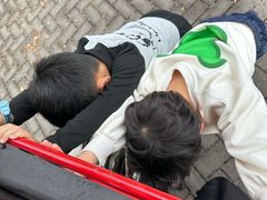 -上海海湾国家森林公园