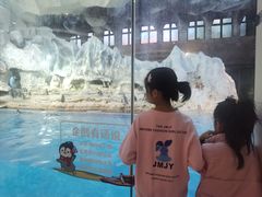 -帝企鹅自助餐厅•儿童岛•真企鹅(长隆企鹅酒店)