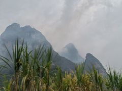 -明仕田园