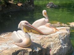 -昆明动物园