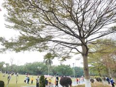 -东莞植物园