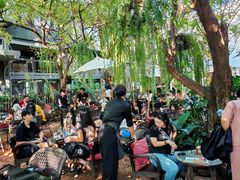 -Fern Forest Cafe