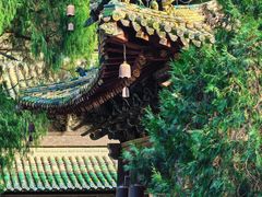 -报恩寺(平武县)