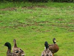 -桃源咖啡厅(武夷山大红袍山庄店)