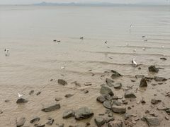 -深圳湾公园(南山区)