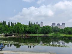 -群力丁香公园