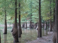 -广州市帽峰山景区