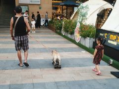 -CAMP.33露营烤肉·团建聚餐(创智天地店)