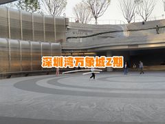 -深圳湾万象城(南山店)