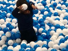 -上海东方佘山翰悦阁酒店·Vie全日制餐厅