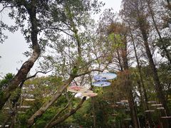 -人民公园(罗湖区)