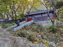 -大芦花风景区