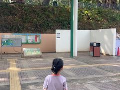 -九龙公园