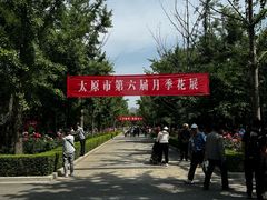 -迎泽公园
