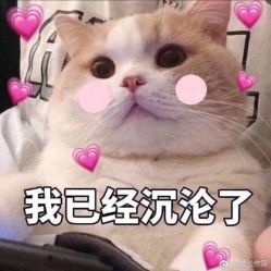 -HG美发设计沙龙