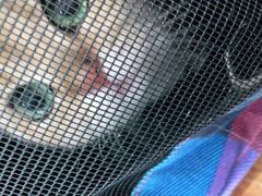 -纳吉亚猫专科动物诊疗中心(蒋宅口分院)