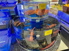 水产区-新海渔港·胶东海鲜家常菜·家宴(奥体中心店)