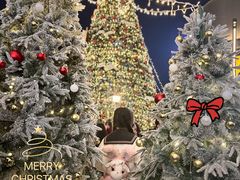 -东莞松山湖万象汇