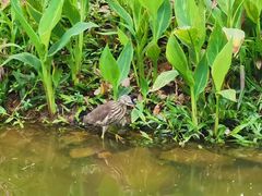 -人民公园(罗湖区)