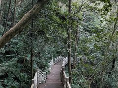 -南宁良凤江国家森林公园